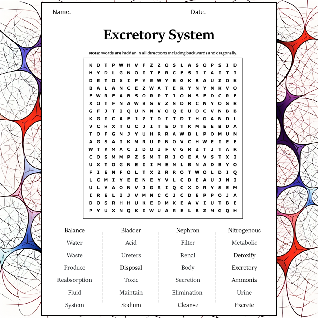 Excretory System Word Search Puzzle Worksheet Activity PDF