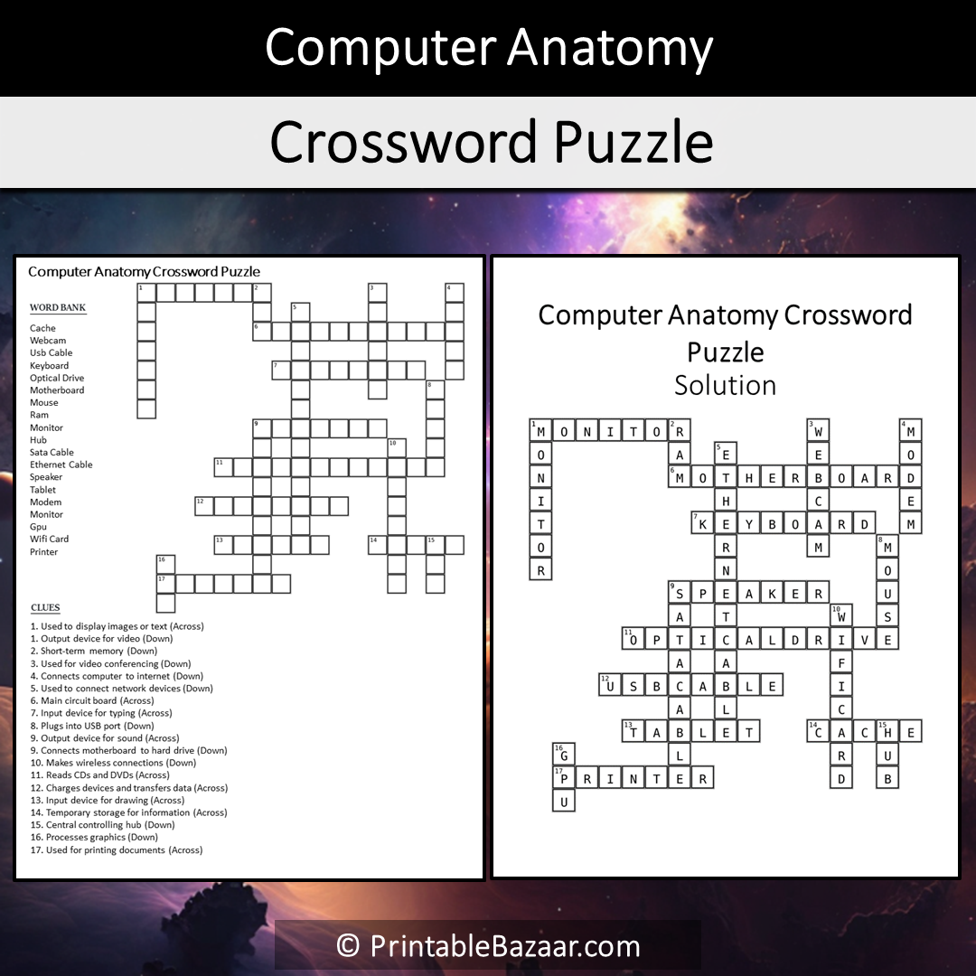 Computer Anatomy Crossword Puzzle Worksheet Activity Printable PDF