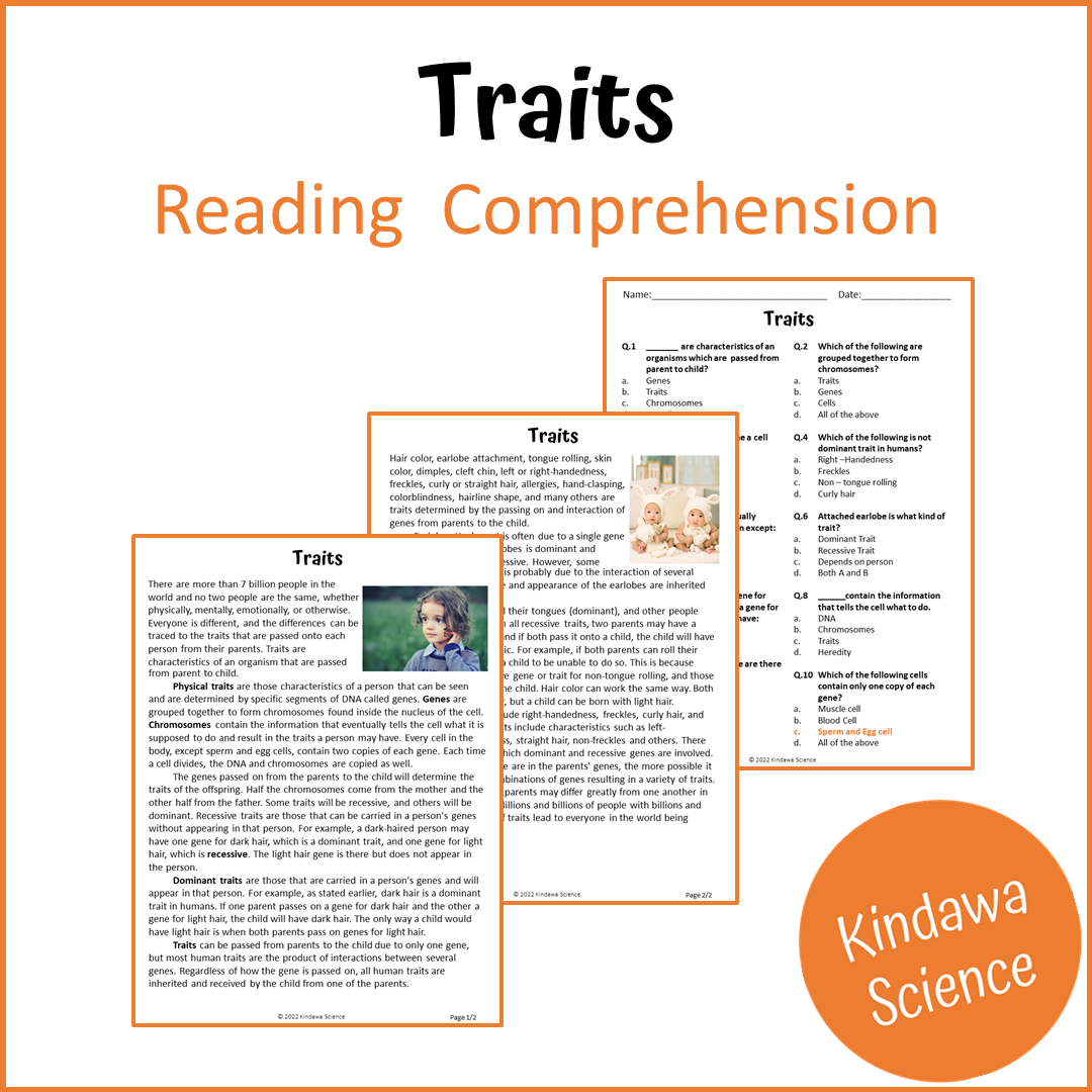 Traits Reading Comprehension Passage and Questions | Printable PDF