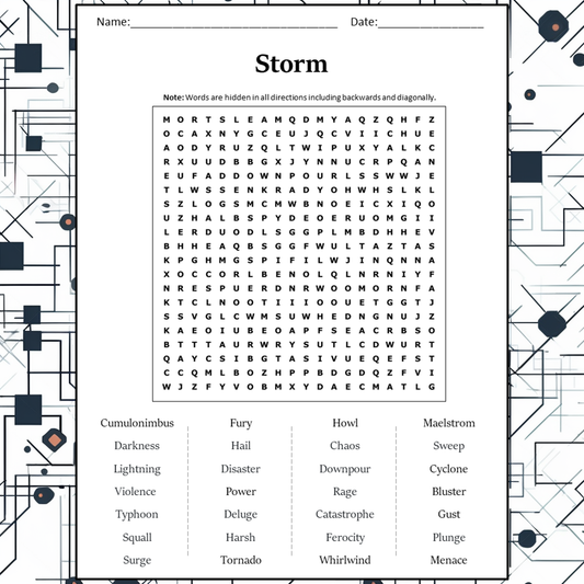 Storm Word Search Puzzle Worksheet Activity PDF