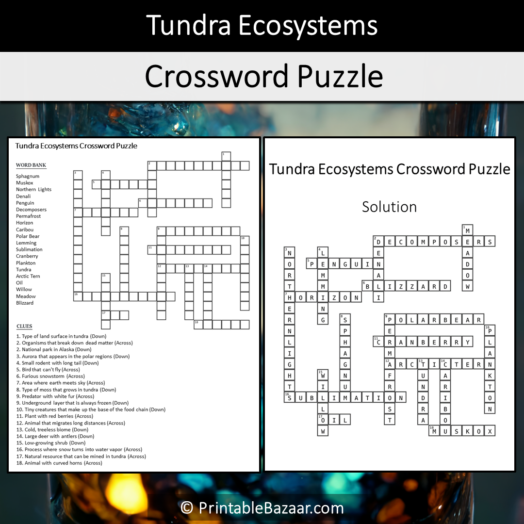 Tundra Ecosystems Crossword Puzzle Worksheet Activity Printable PDF