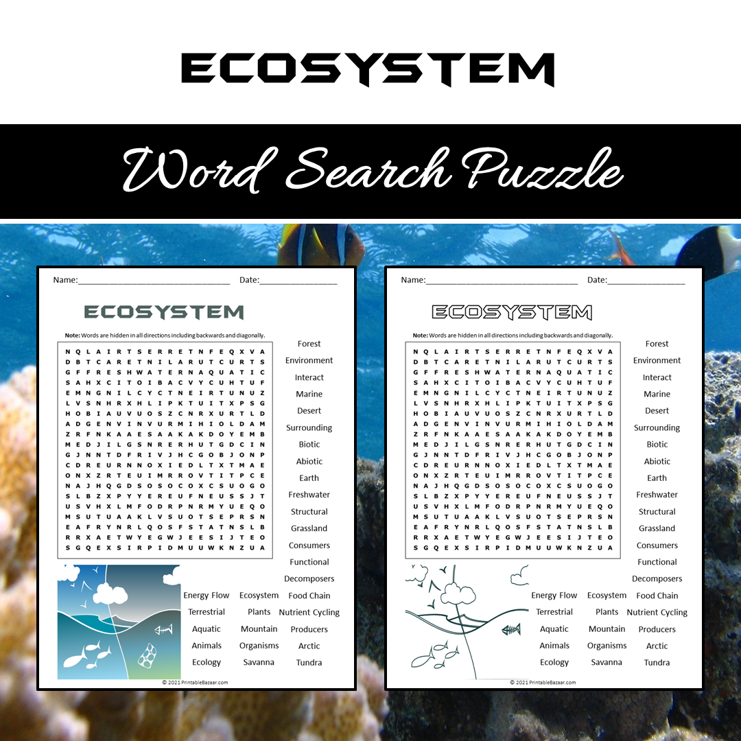 All About Ecosystem Word Search Puzzle Worksheet PDF