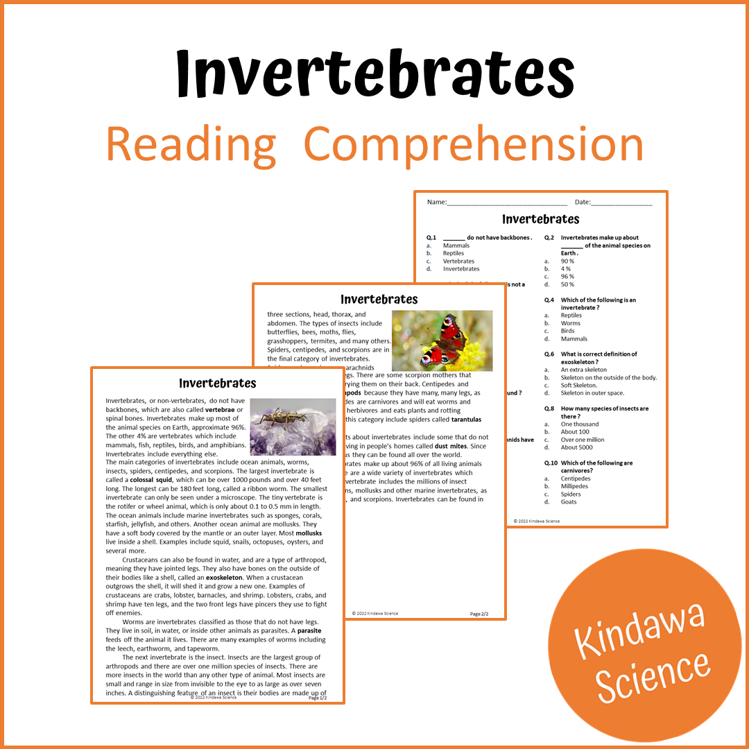Invertebrates Reading Comprehension Passage and Questions | Printable PDF
