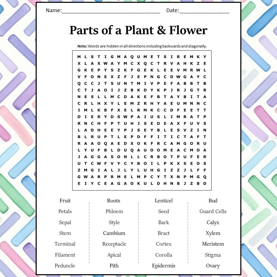 Parts of a Plant & Flower Word Search Puzzle Worksheet Activity PDF