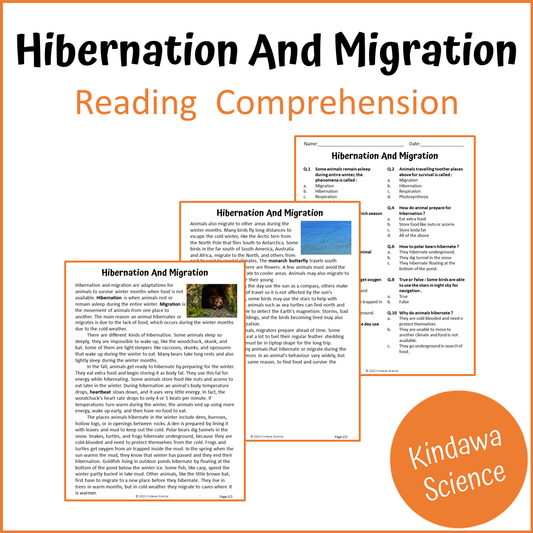 Hibernation And Migration Reading Comprehension Passage and Questions | Printable PDF