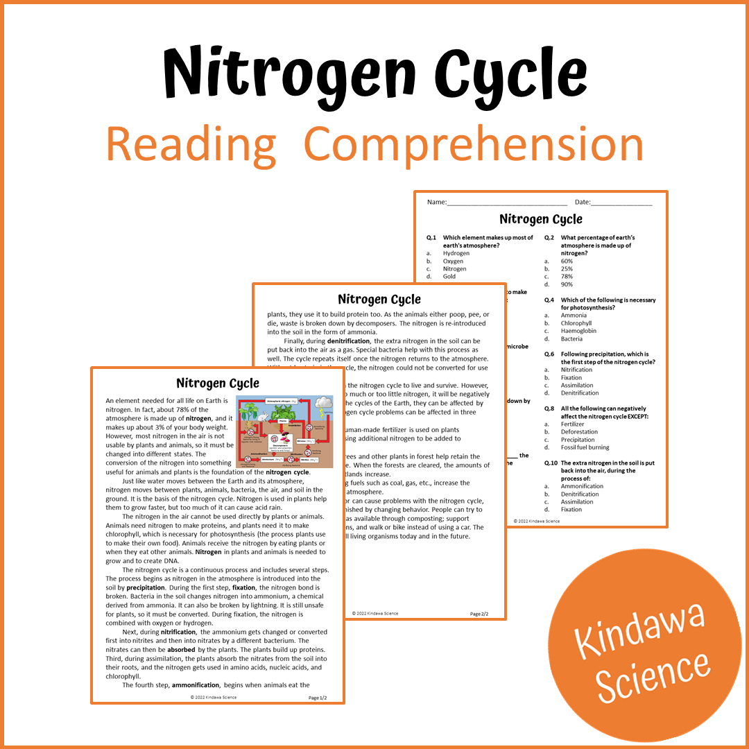 Nitrogen Cycle Reading Comprehension Passage and Questions | Printable PDF