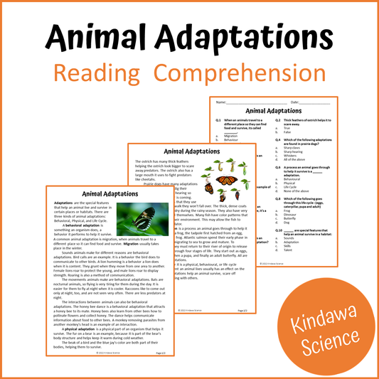 Animal Adaptations Reading Comprehension Passage and Questions | Printable PDF