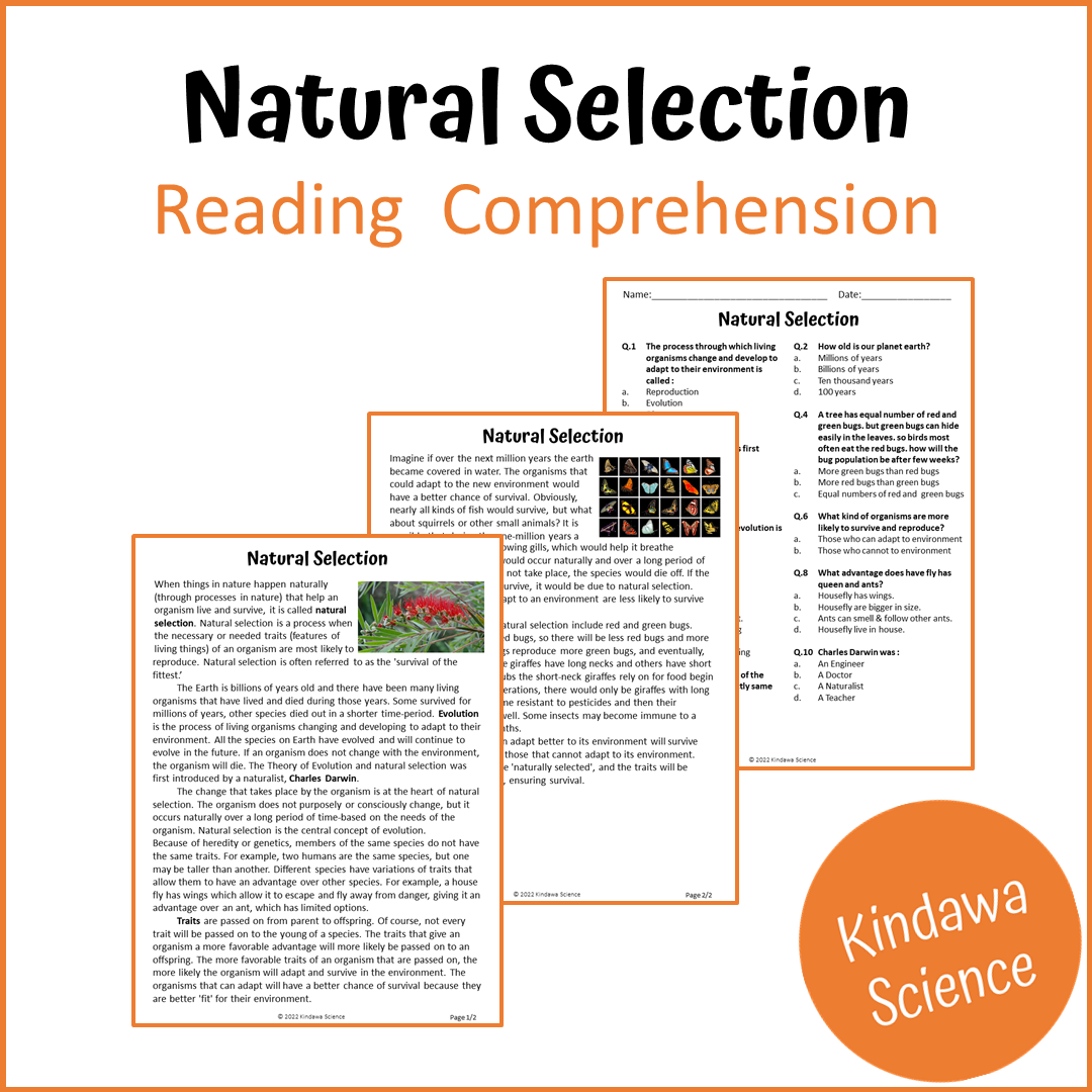 Natural Selection Reading Comprehension Passage and Questions | Printable PDF