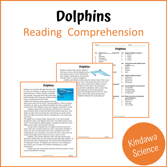 Dolphins Reading Comprehension Passage and Questions | Printable PDF