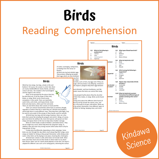 Birds Reading Comprehension Passage and Questions | Printable PDF