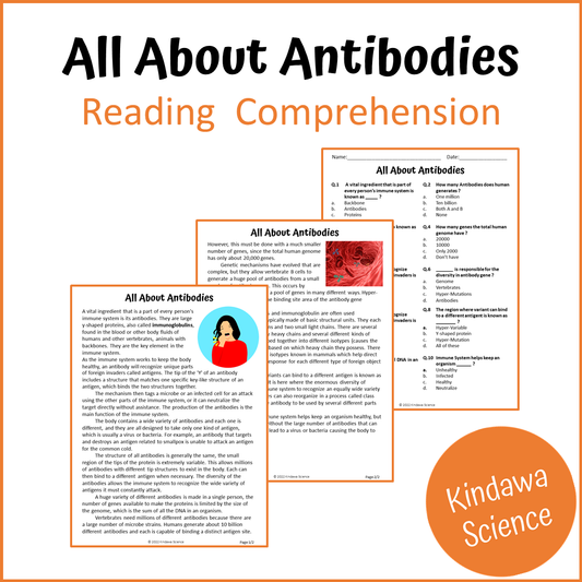 All About Antibodies Reading Comprehension Passage and Questions | Printable PDF