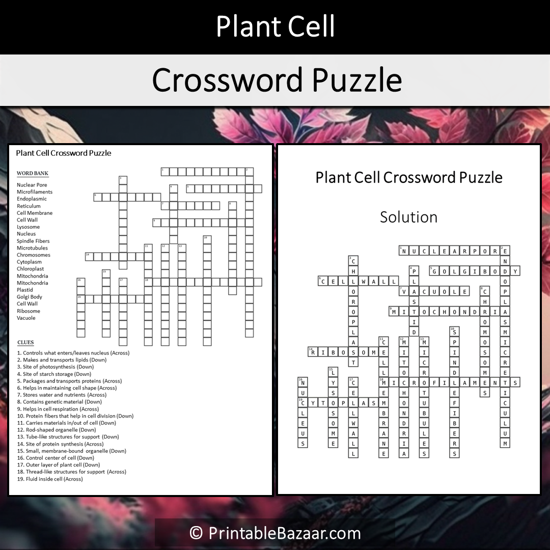 Plant Cell Crossword Puzzle Worksheet Activity Printable PDF