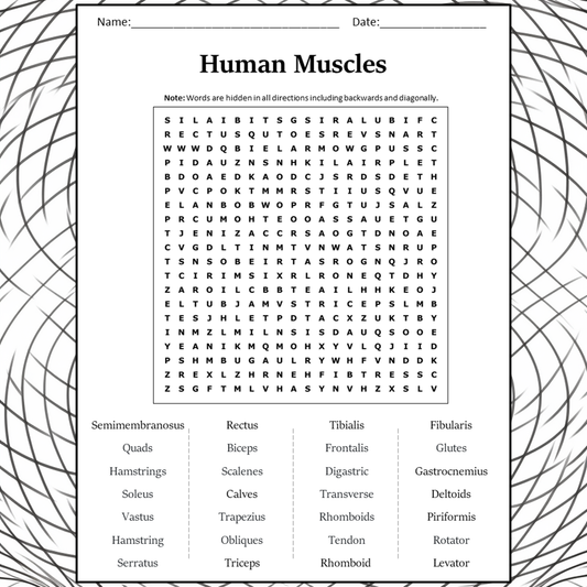 Human Muscles Word Search Puzzle Worksheet Activity PDF