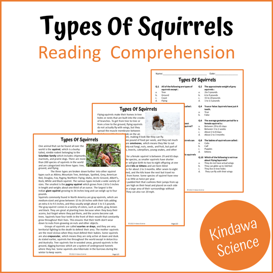 Types Of Squirrels Reading Comprehension Passage and Questions | Printable PDF