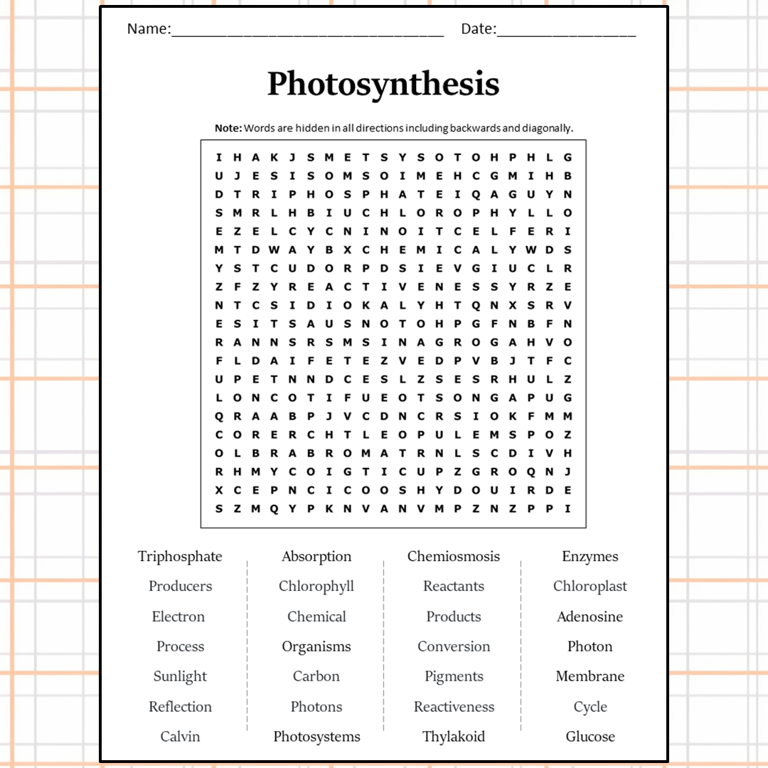 Photosynthesis Word Search Puzzle Worksheet Activity PDF