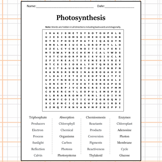 Photosynthesis Word Search Puzzle Worksheet Activity PDF