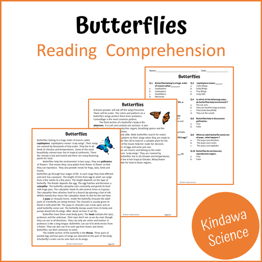 Butterflies Reading Comprehension Passage and Questions | Printable PDF