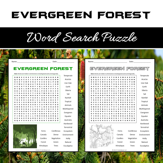 Evergreen Forest Word Search Puzzle Worksheet PDF