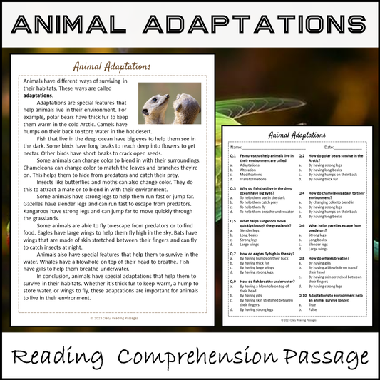 Animal Adaptations Reading Comprehension Passage and Questions | Printable PDF