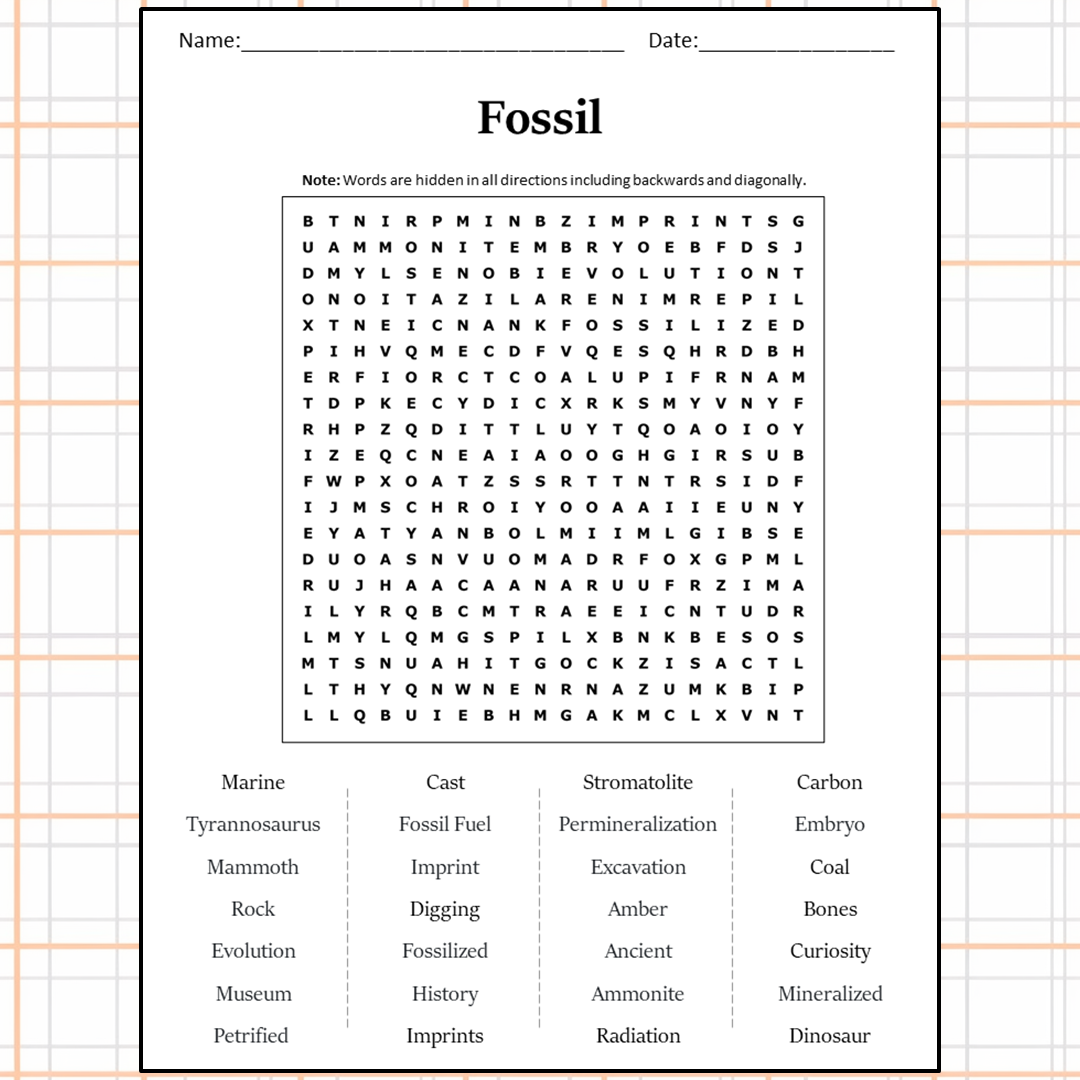 Fossil Word Search Puzzle Worksheet Activity PDF