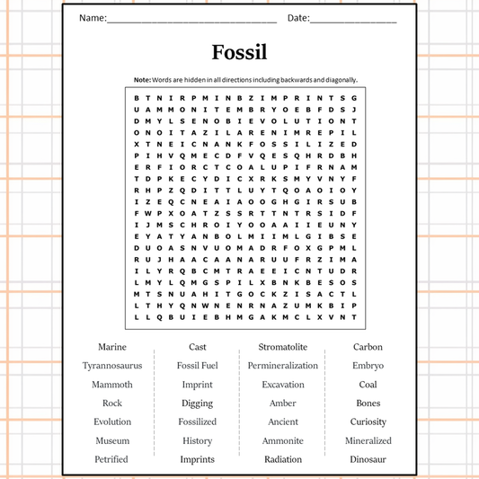 Fossil Word Search Puzzle Worksheet Activity PDF