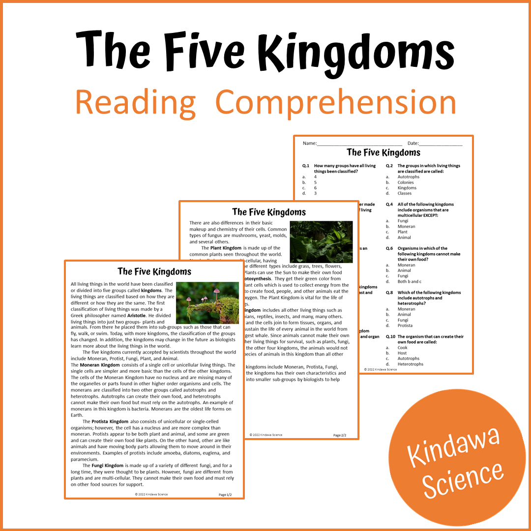 The Five Kingdoms Reading Comprehension Passage and Questions | Printable PDF