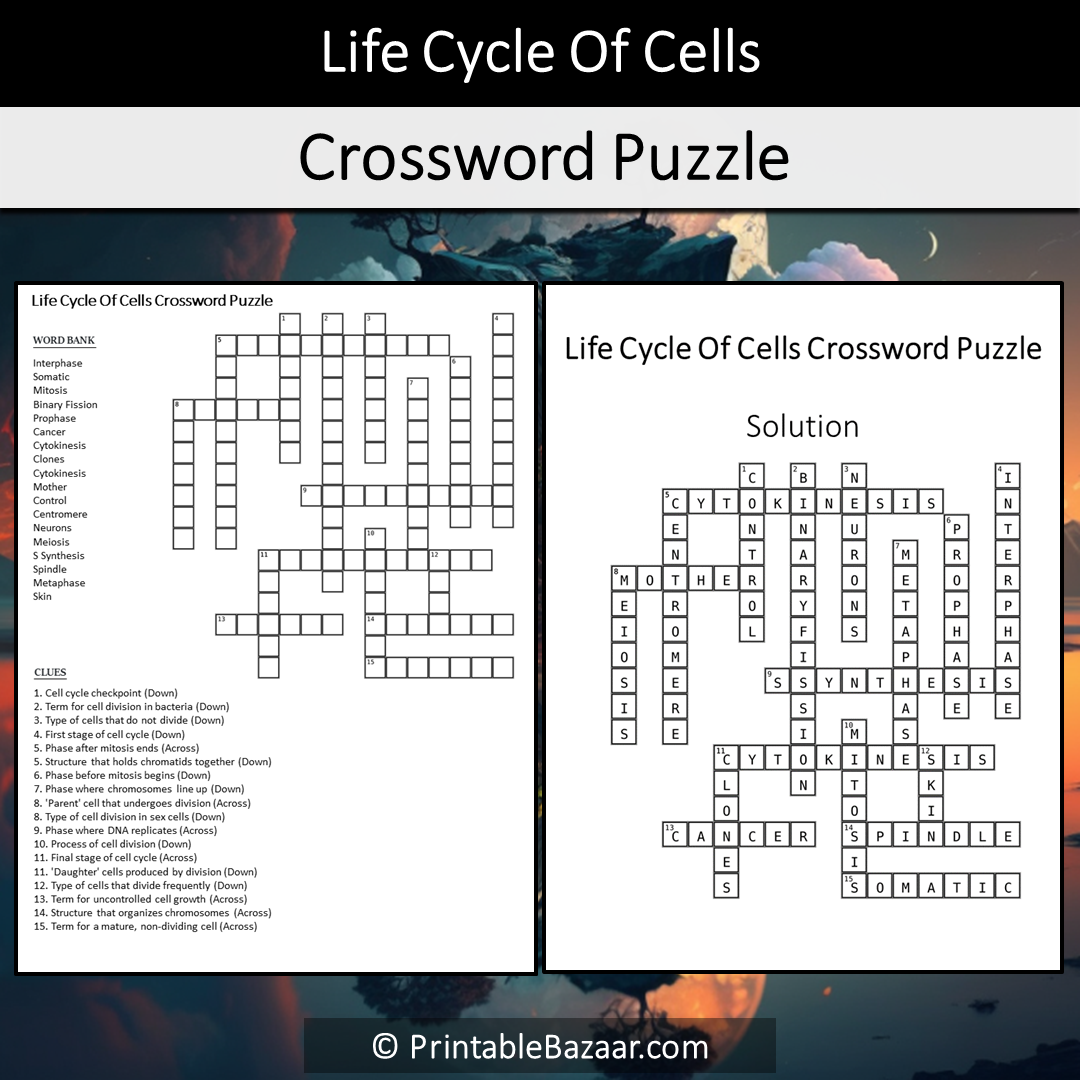 Life Cycle Of Cells Crossword Puzzle Worksheet Activity Printable PDF