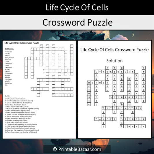 Life Cycle Of Cells Crossword Puzzle Worksheet Activity Printable PDF