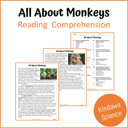 All About Monkeys Reading Comprehension Passage and Questions | Printable PDF