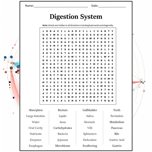 Digestion System Word Search Puzzle Worksheet Activity PDF