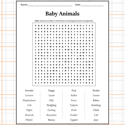 Baby Animals Word Search Puzzle Worksheet Activity PDF