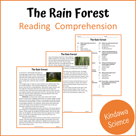 The Rain Forest Reading Comprehension Passage and Questions | Printable PDF