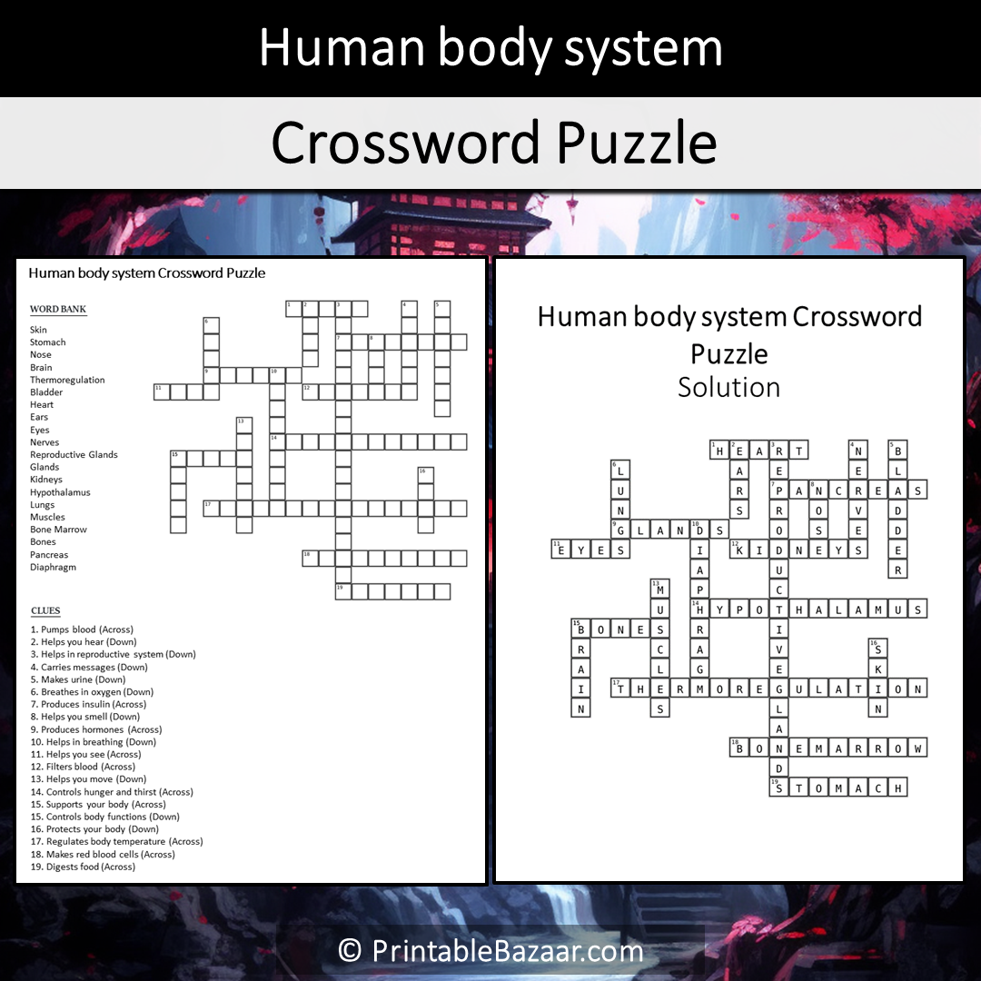 Human Body System Crossword Puzzle Worksheet Activity Printable PDF