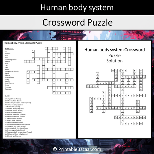 Human Body System Crossword Puzzle Worksheet Activity Printable PDF