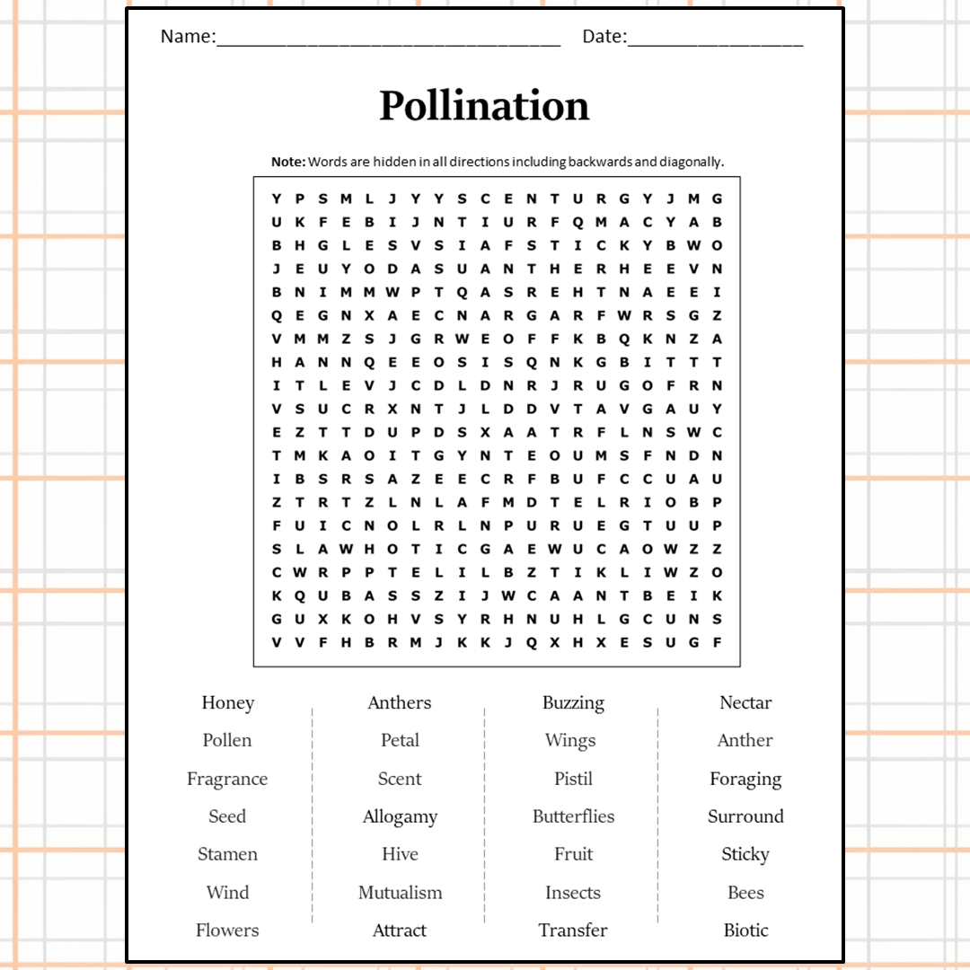 Pollination Word Search Puzzle Worksheet Activity PDF