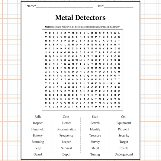 Metal Detectors Word Search Puzzle Worksheet Activity PDF