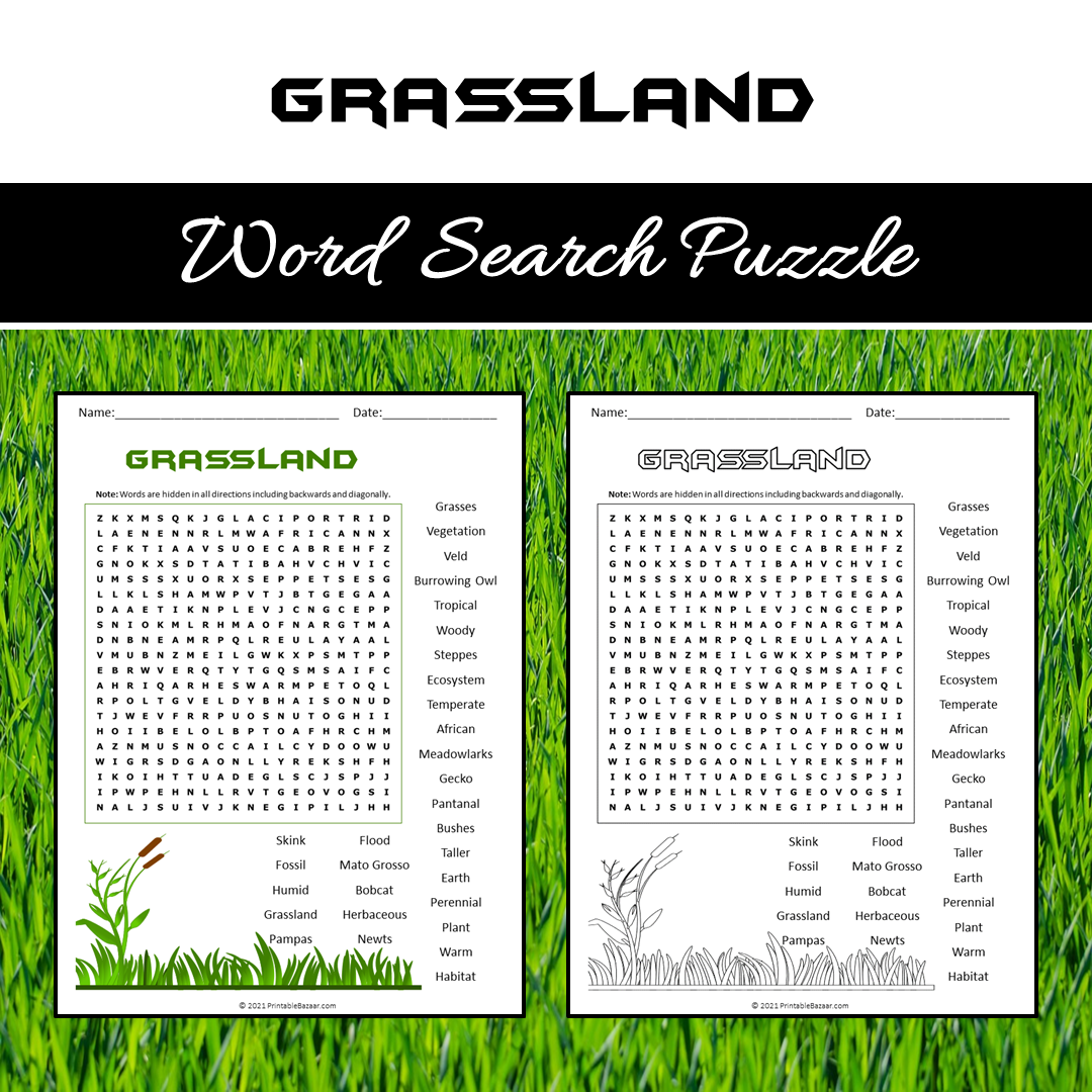 Grassland Word Search Puzzle Worksheet PDF