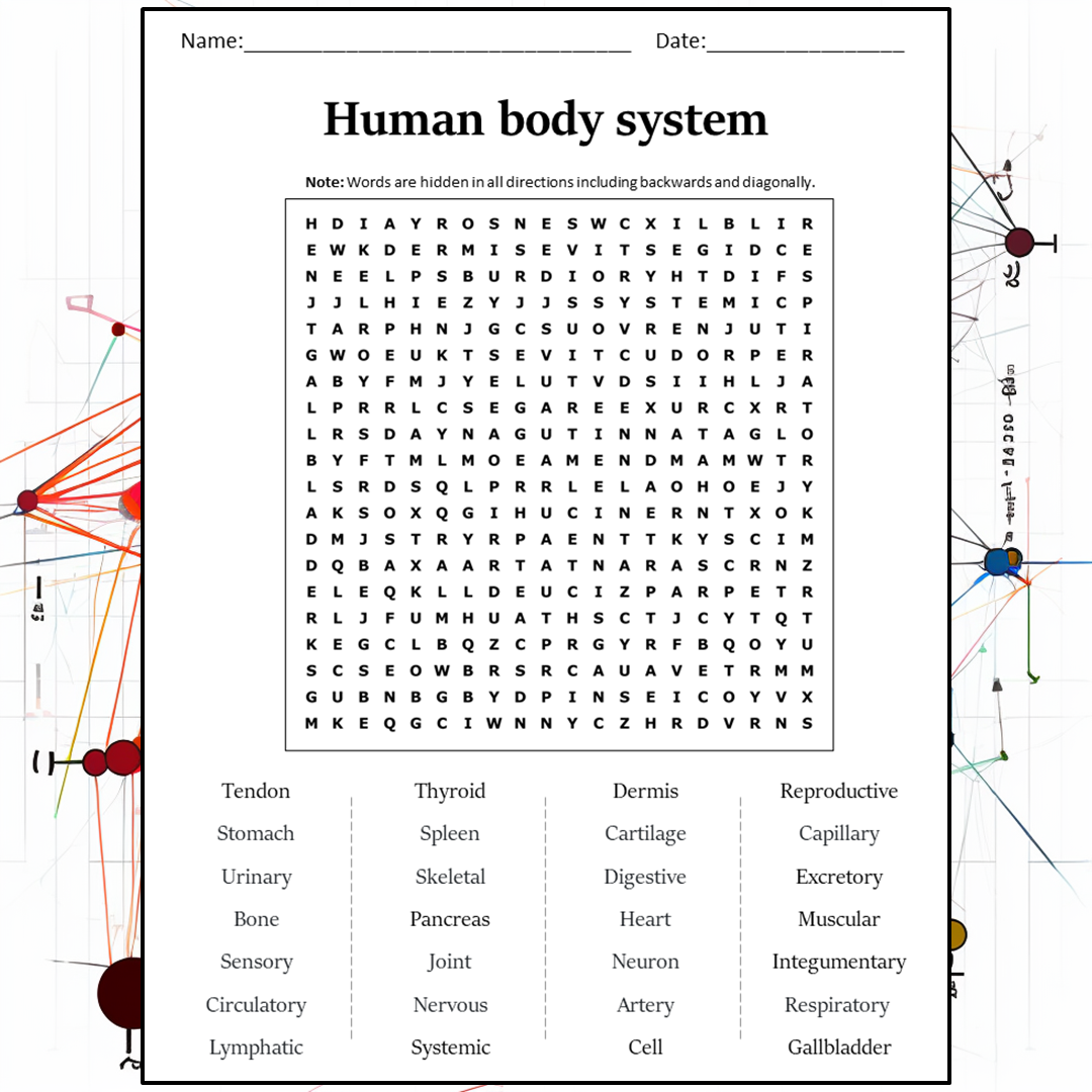 Human Body System Word Search Puzzle Worksheet Activity PDF