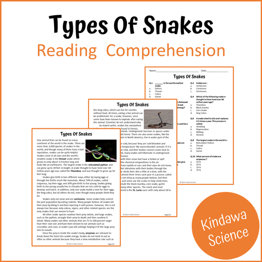 Types Of Snakes Reading Comprehension Passage and Questions | Printable PDF