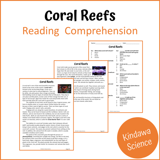 Coral Reefs Reading Comprehension Passage and Questions | Printable PDF