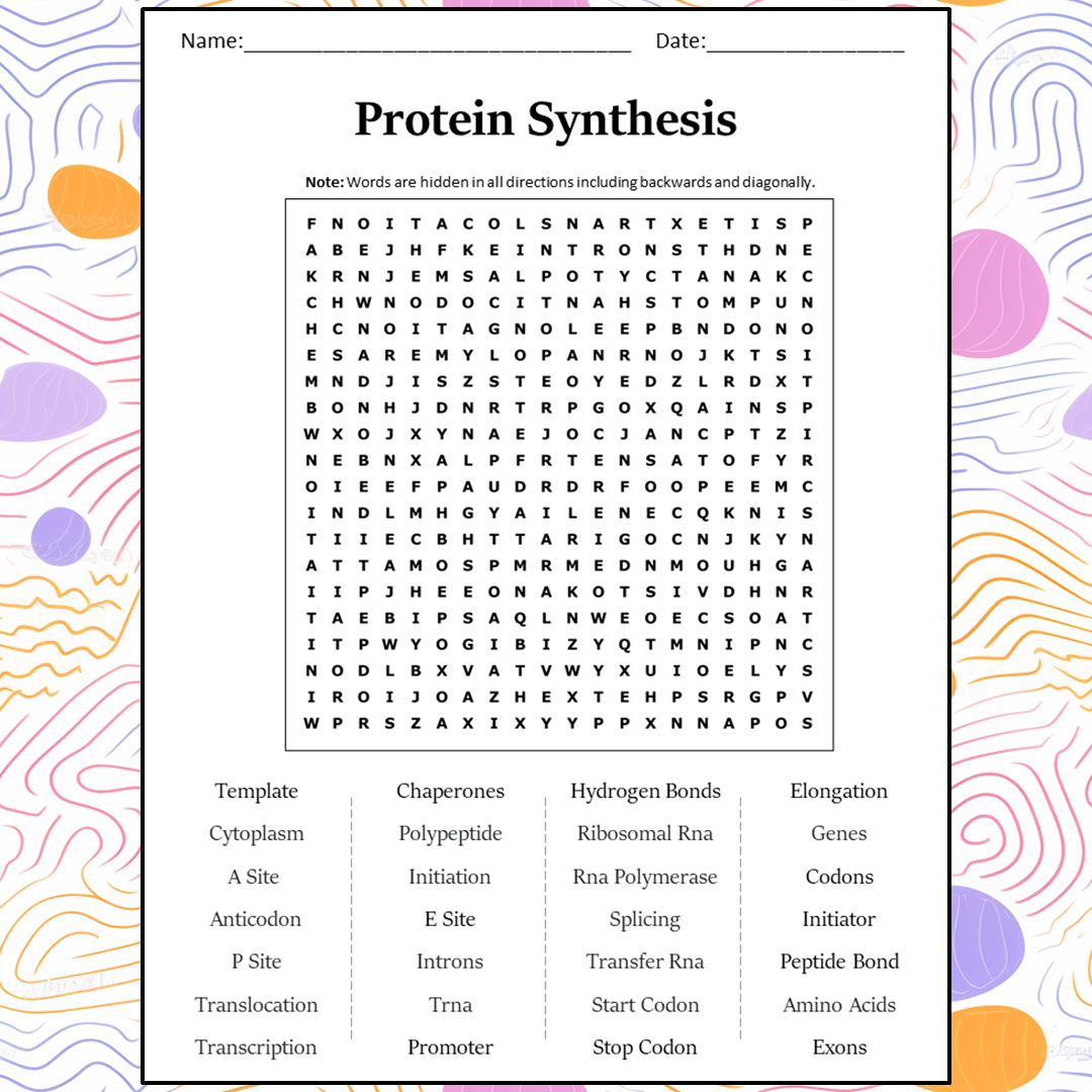 Protein Synthesis Word Search Puzzle Worksheet Activity PDF