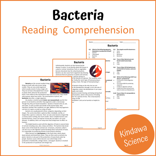 Bacteria Reading Comprehension Passage and Questions | Printable PDF