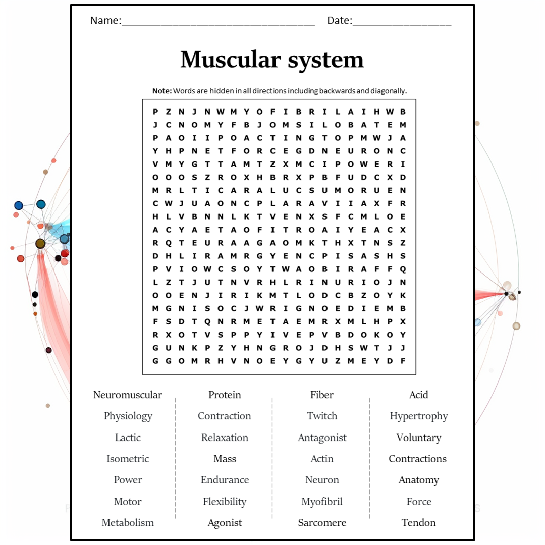 Muscular System Word Search Puzzle Worksheet Activity PDF