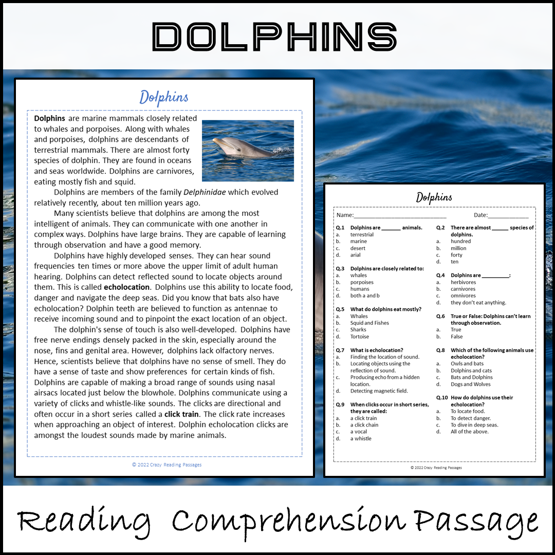 Dolphins Reading Comprehension Passage and Questions | Printable PDF