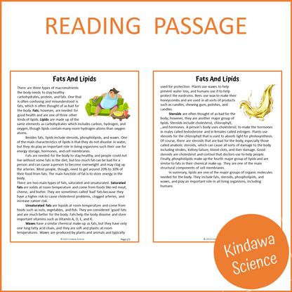 Fats And Lipids Reading Comprehension Passage and Questions | Printable PDF