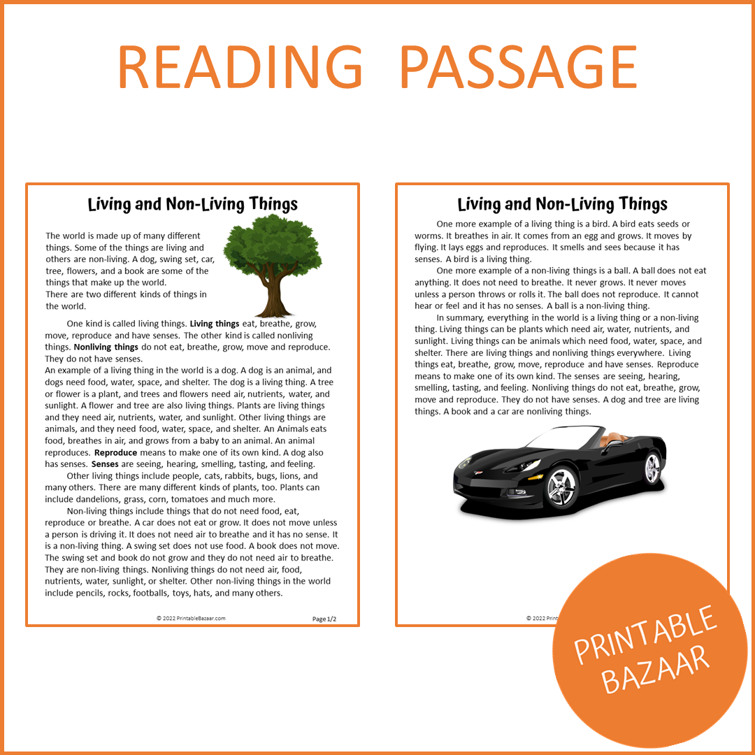 Living and Non-Living Reading Comprehension Passage and Questions | Printable PDF