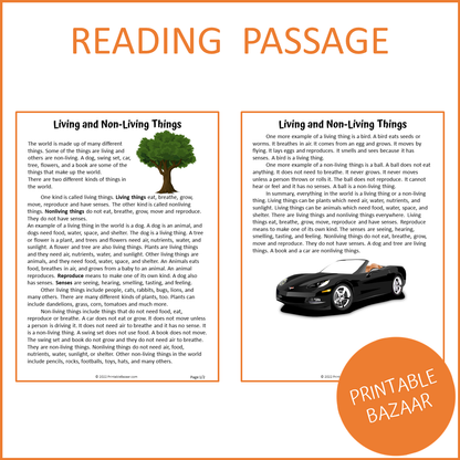 Living and Non-Living Reading Comprehension Passage and Questions | Printable PDF