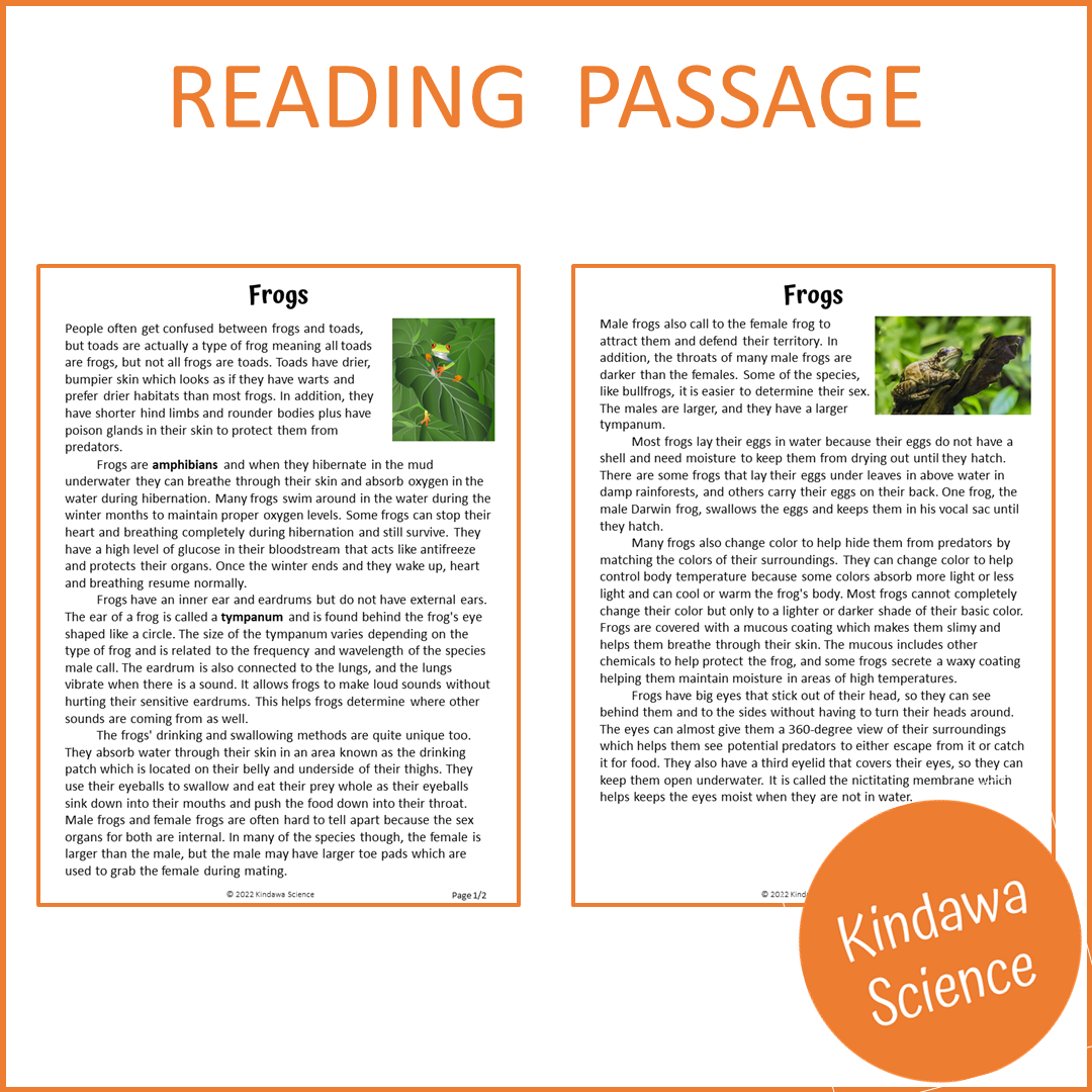 Frogs Reading Comprehension Passage and Questions | Printable PDF