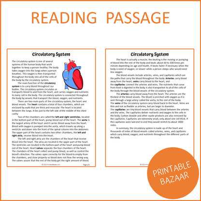 Circulatory System Reading Comprehension Passage and Questions | Printable PDF