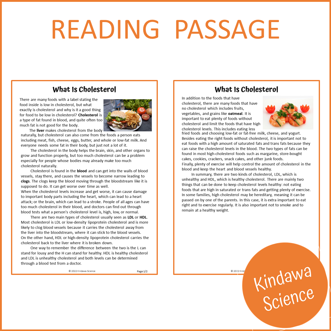 What Is Cholesterol Reading Comprehension Passage and Questions | Printable PDF